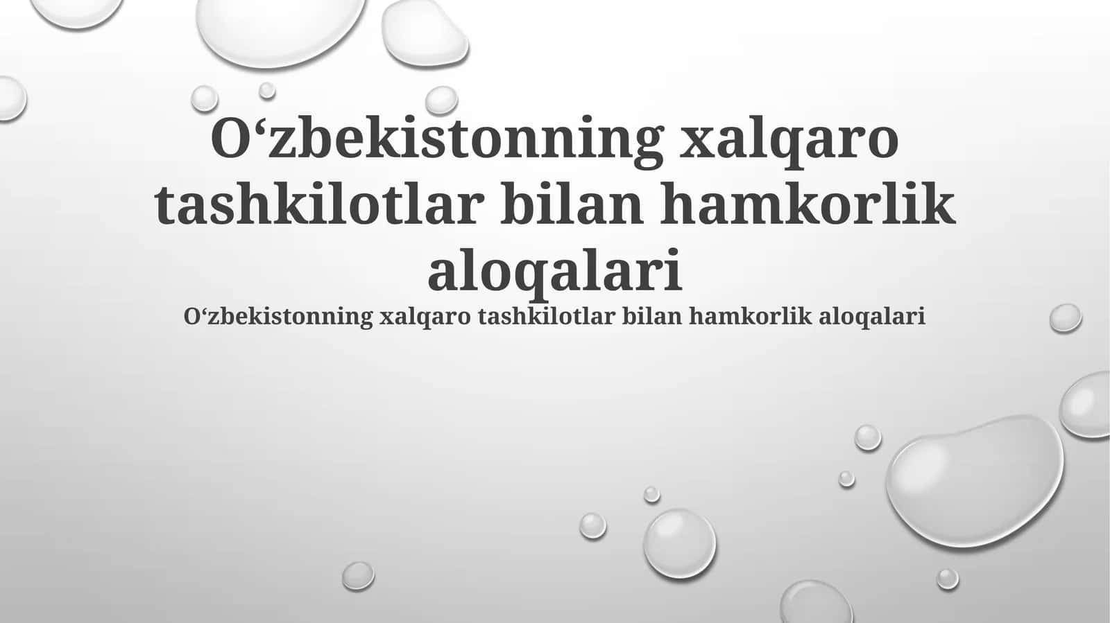 Xalqaro tashkilotlar bilan hamkorlik