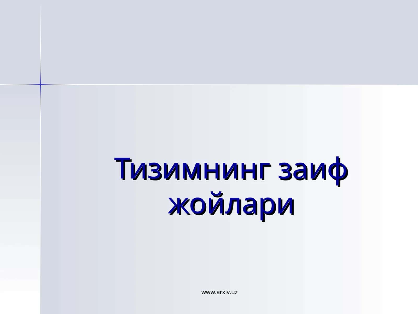 Тизимнинг заиф жойлари