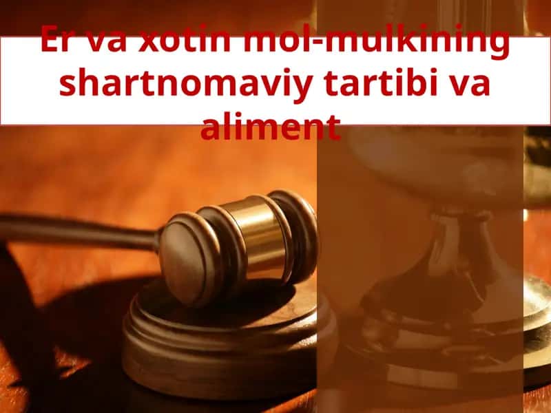 Er va xotin mol-mulkiningshartnomaviy tartibi va aliment