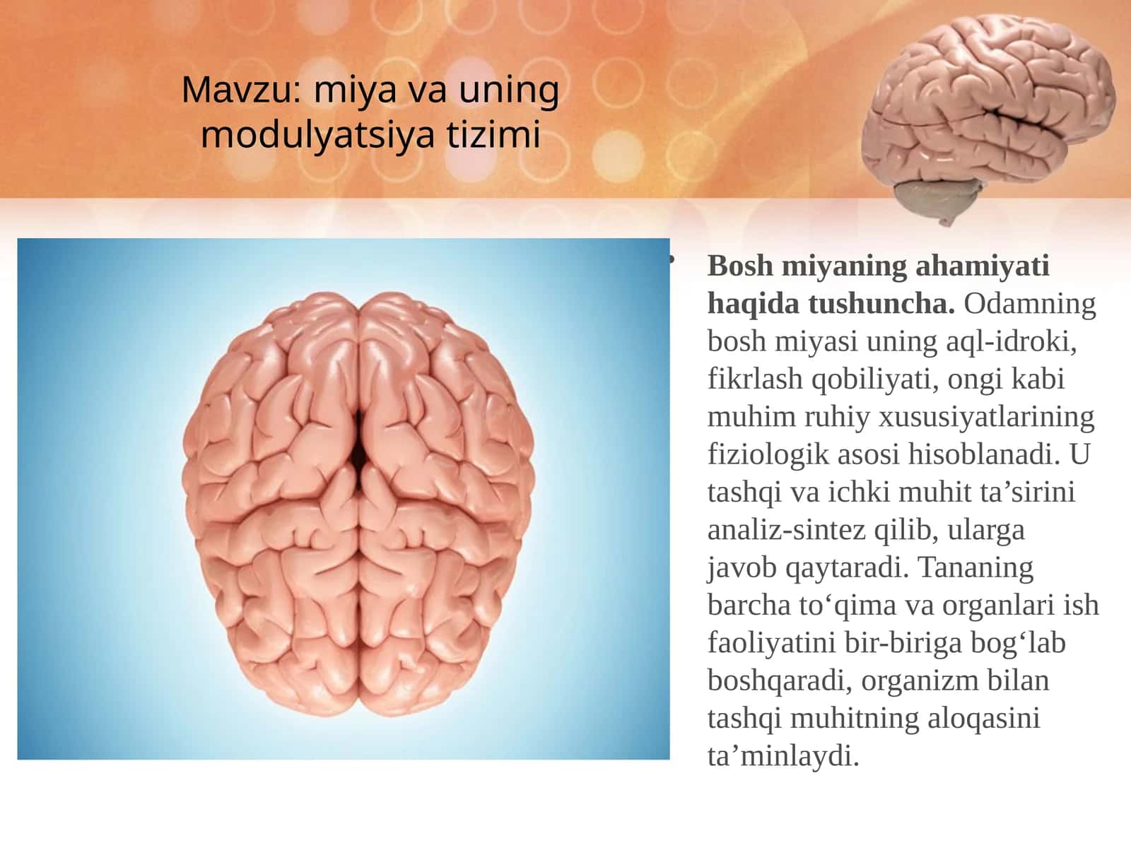 Miyava uning modulyatsiya tizimi