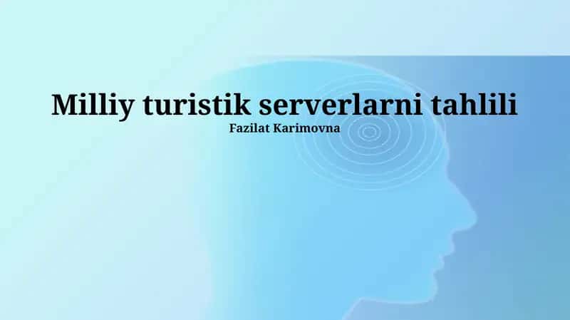 Milliy Turizm Serverlarini Tahlil Qilish