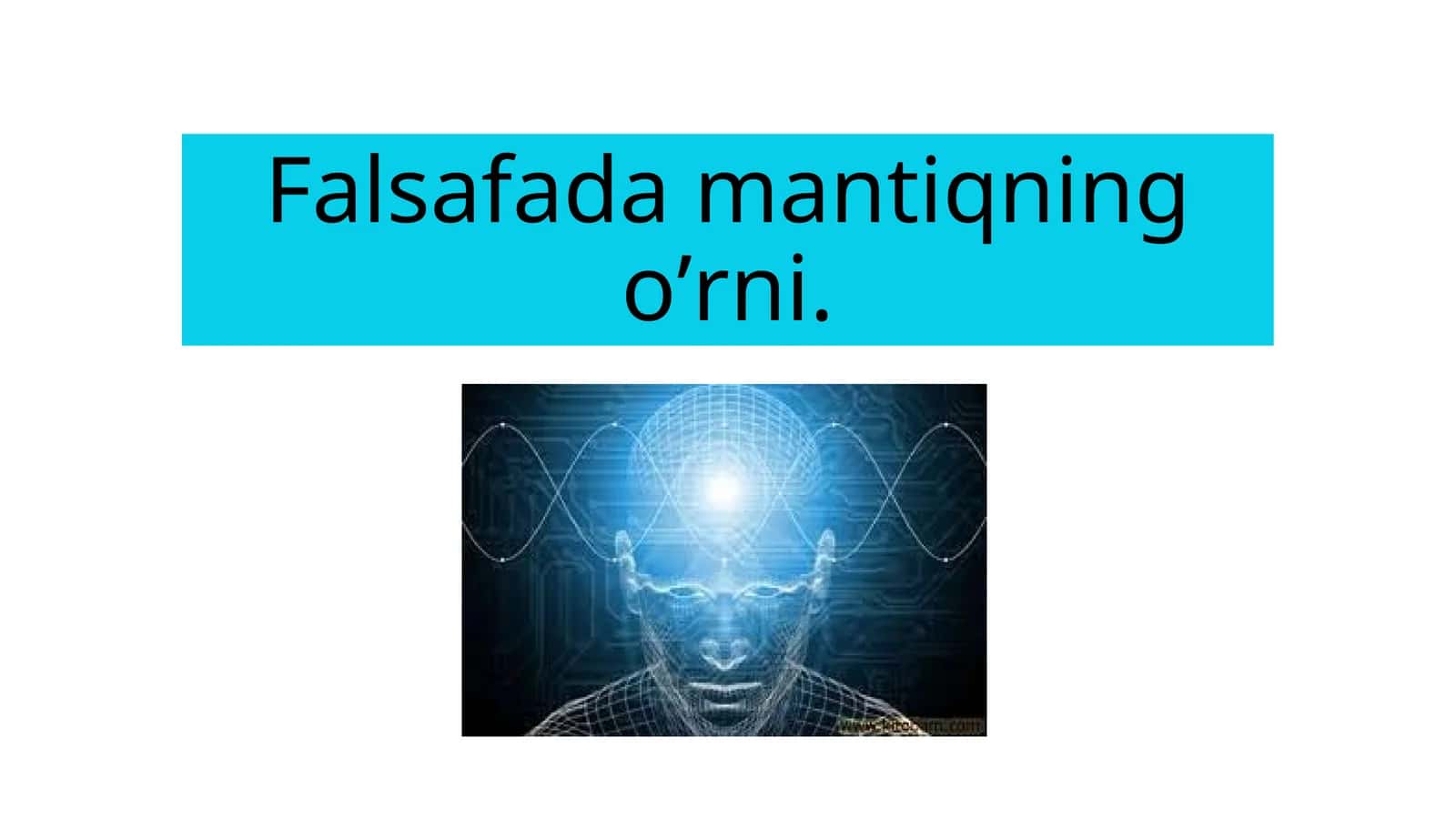 Falsafada mantiqning oʼrni