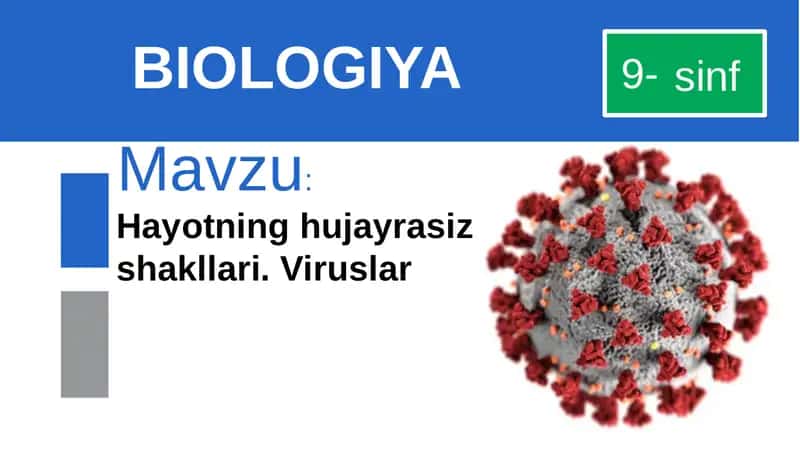 Viruslar