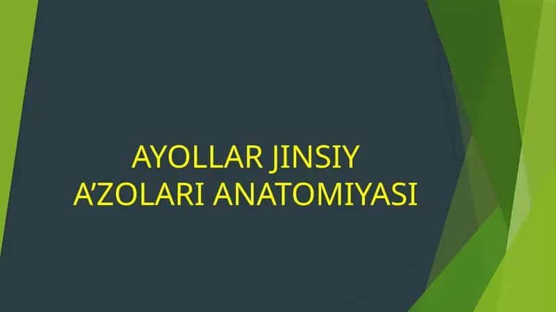 AYOLLAR JINSIY A'ZOLARI ANATOMIYASI
