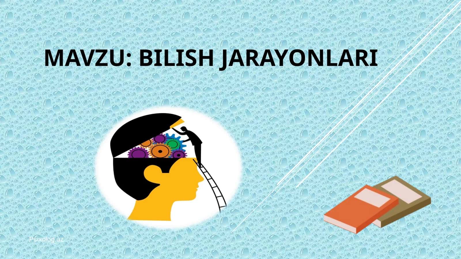 BILISH JARAYONLARI