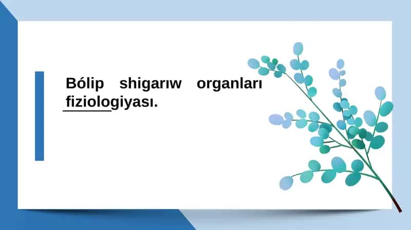 Bólip shigarıw organları fiziologiyası