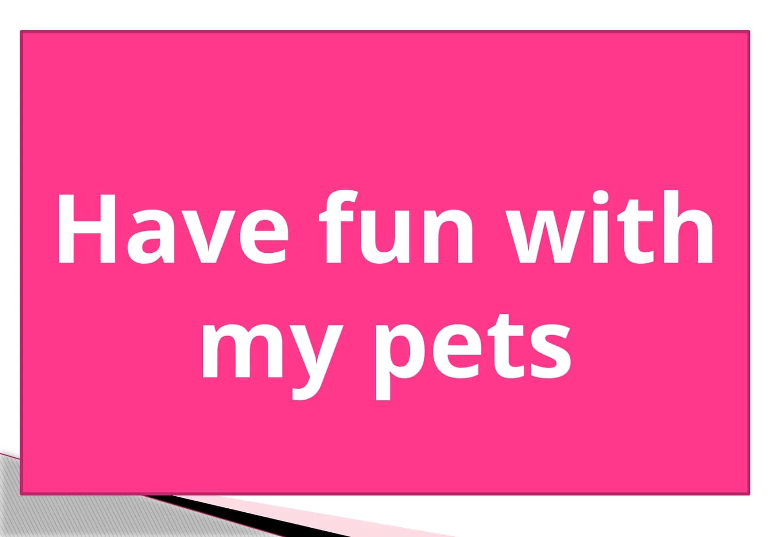 5-sinf Ingliz tili fanidan Have fun with my pets dars ishlanmasi