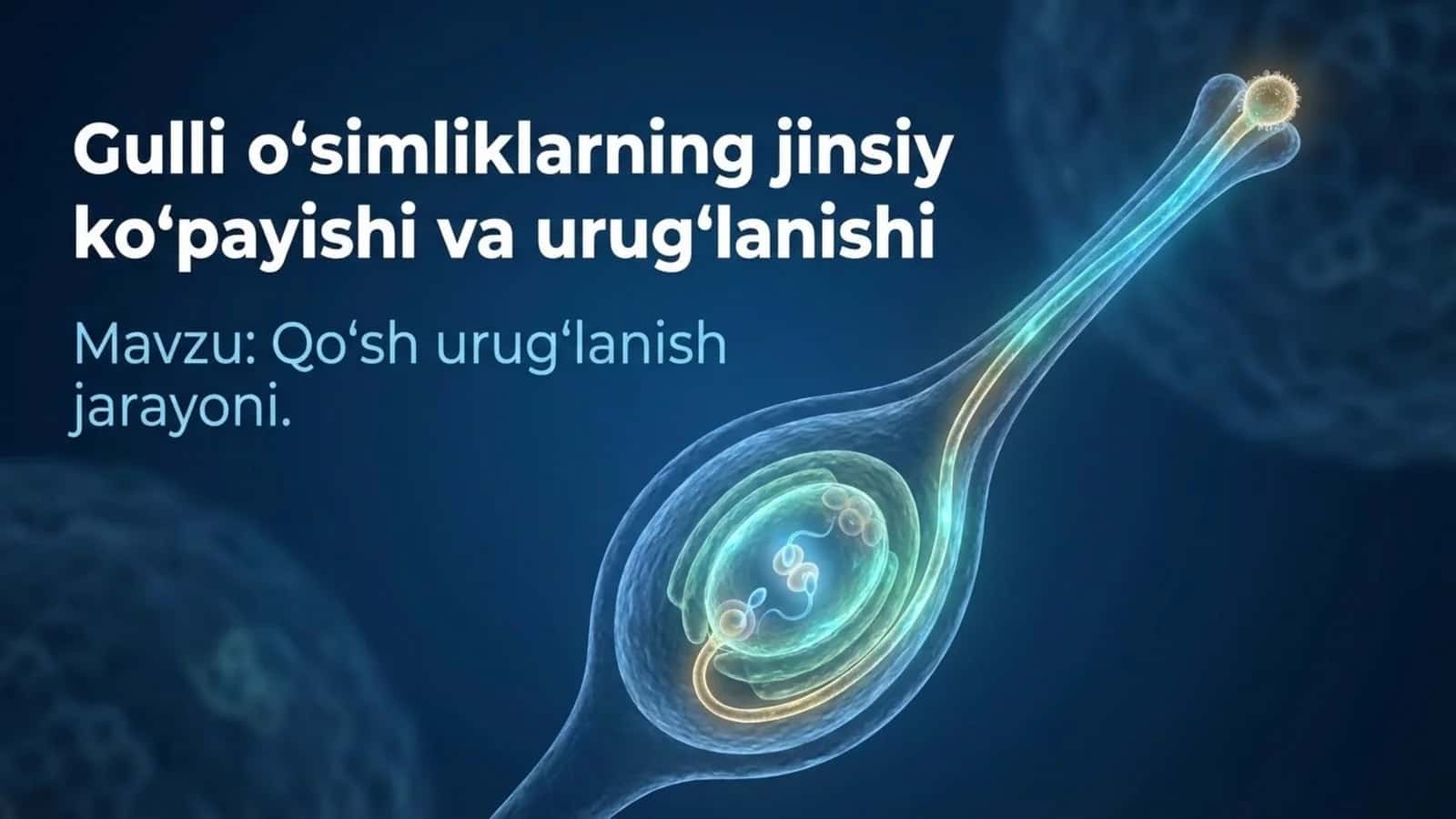Gulli o'simliklarning ko'payishi va urug'lanishi