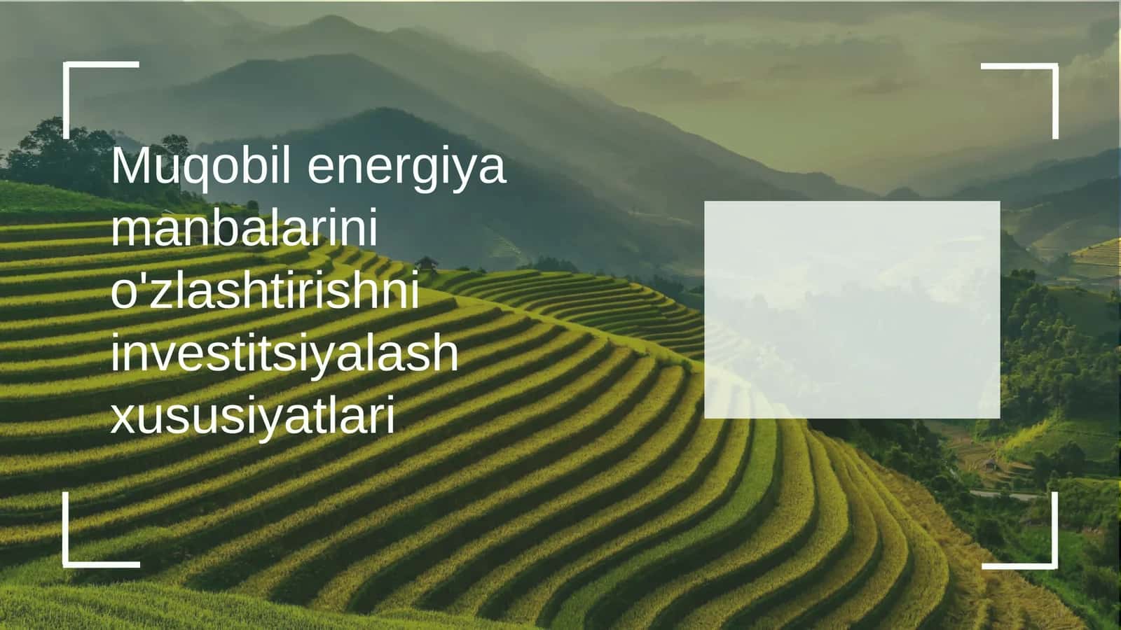 Muqobil energiya manbalarini o'zlashtirishni investitsiyalash xususiyatlari