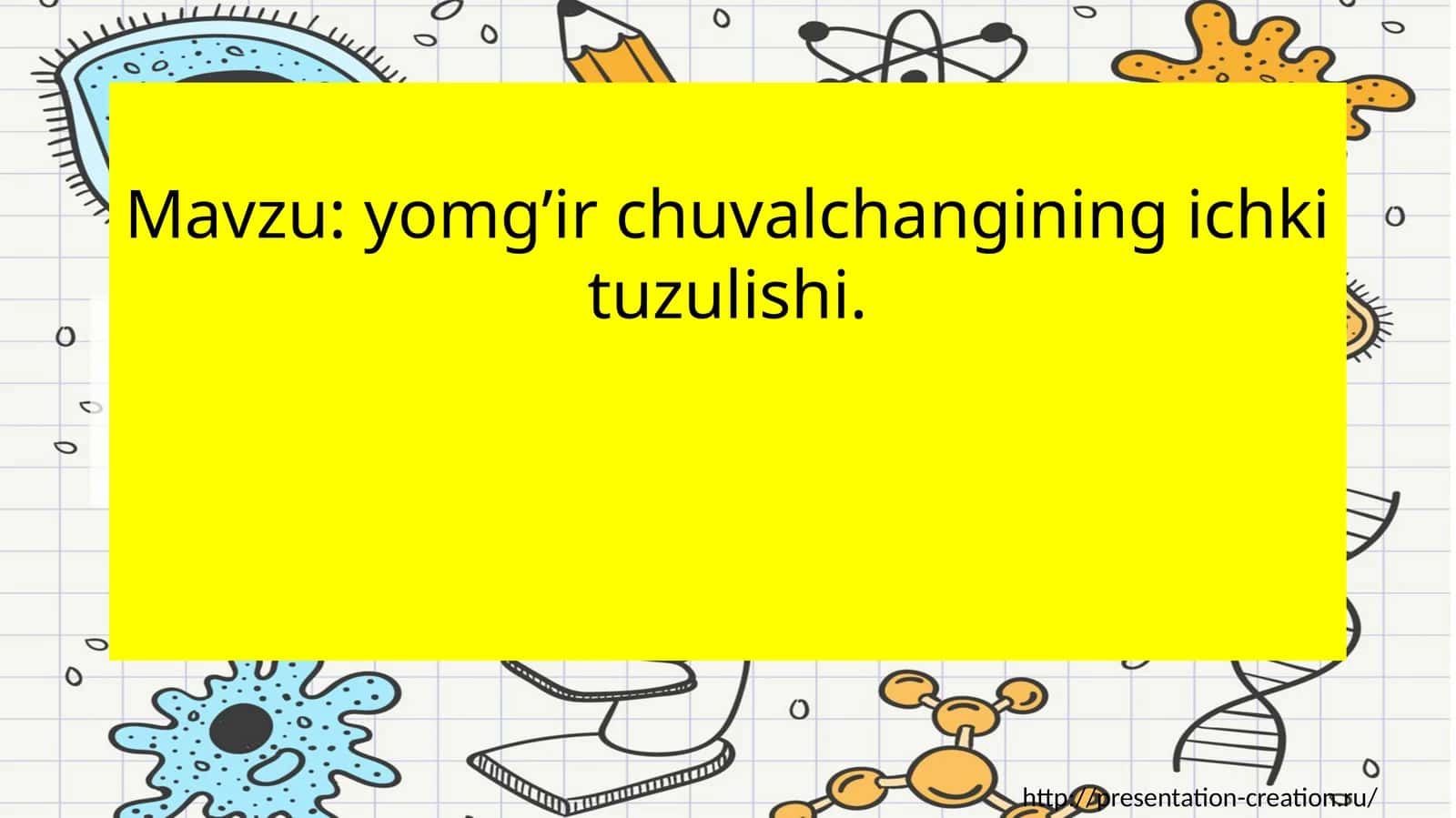 Yomg’ir chuvalchangining ichki tuzish