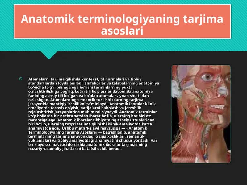 Anatomik terminologiyaning tarjima asoslari