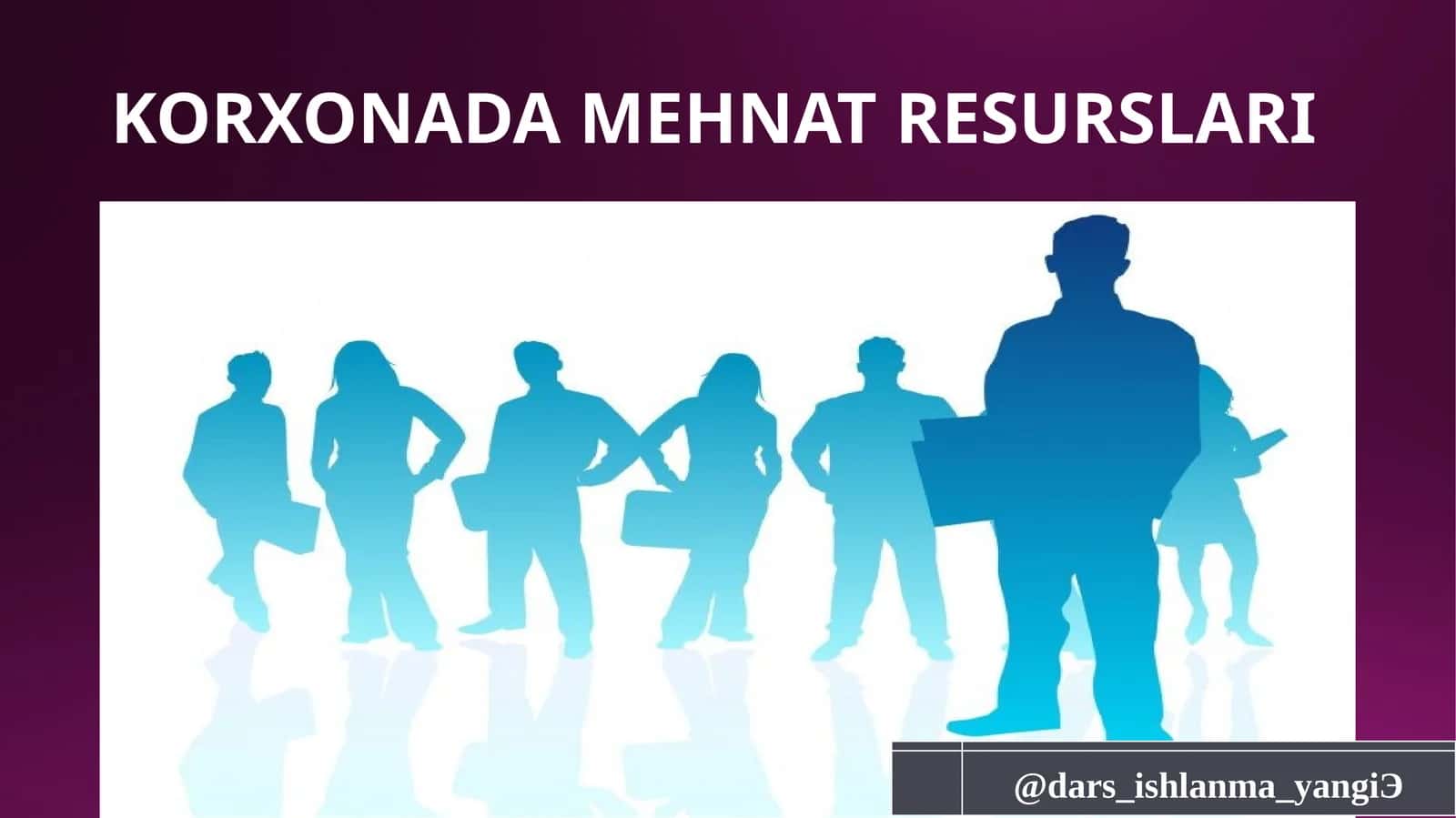 MEHNAT RESURSLARI