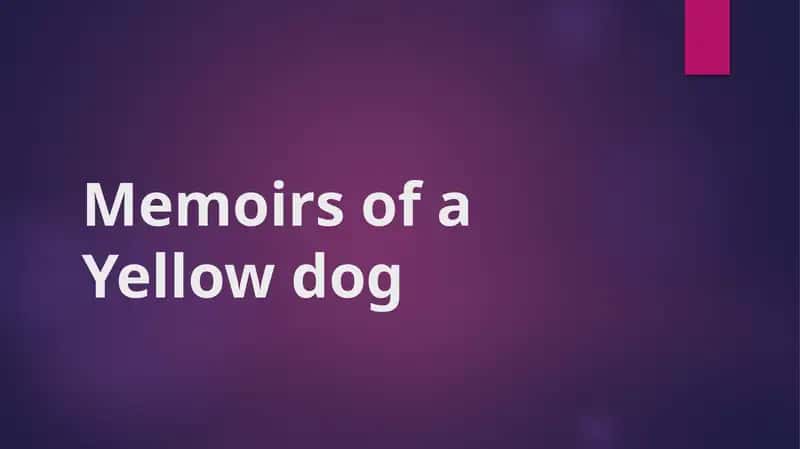 Memoirs of a Yellow Dog