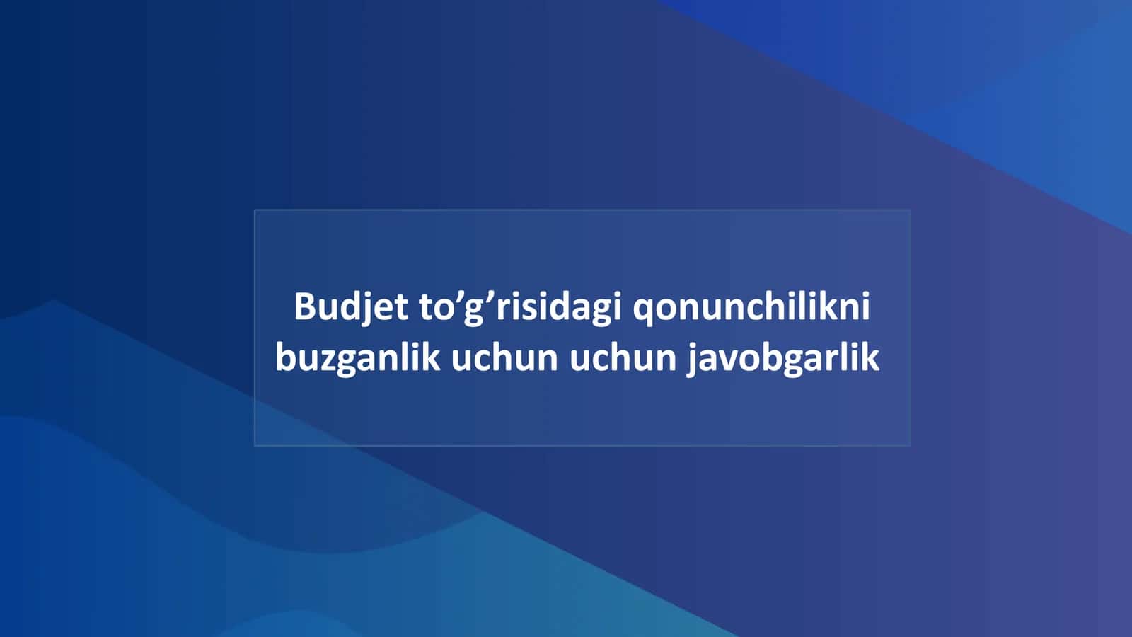 Budjet to’g’risidagi qonunchilikni buzganlik uchun uchun javobgarlik