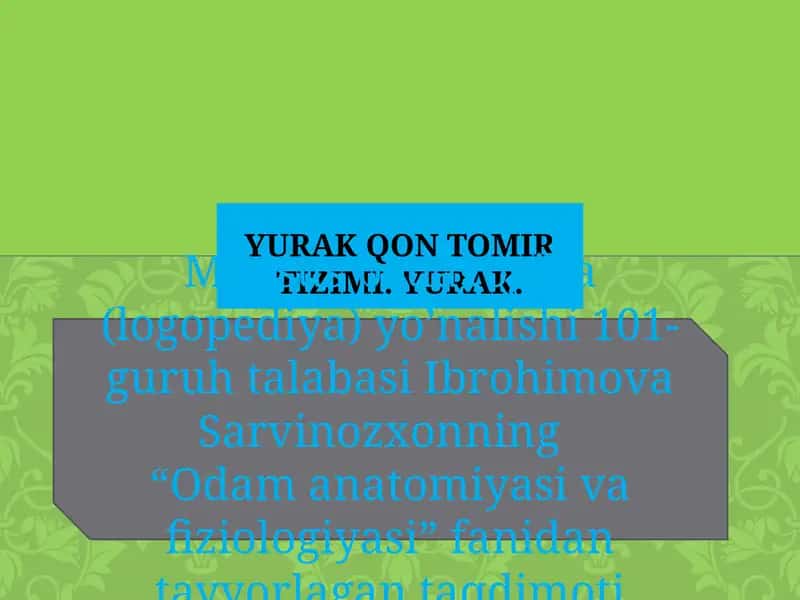 Maxsus pedagogika (logopediya) yo’nalishi 101