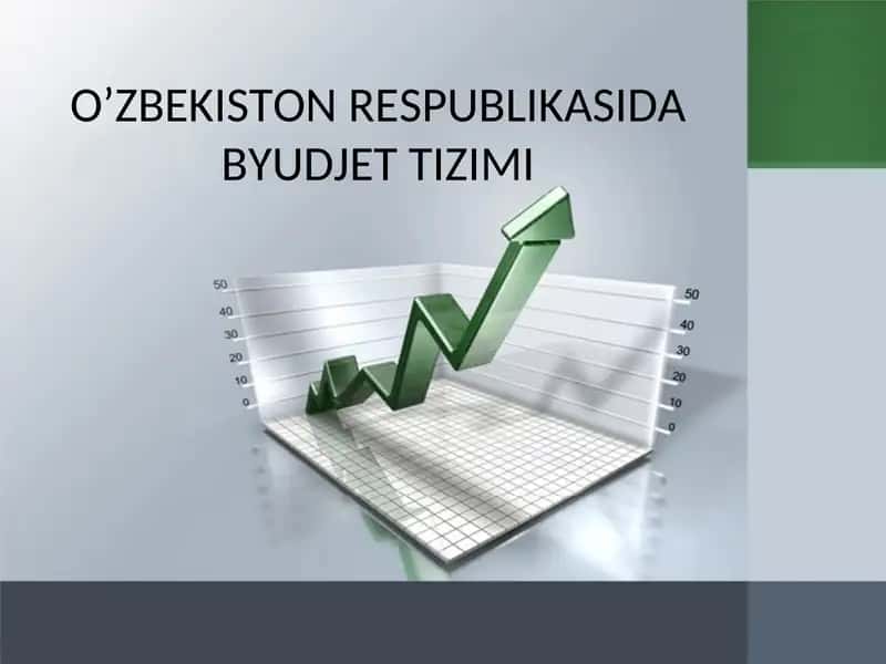 Byudjet Tizimi