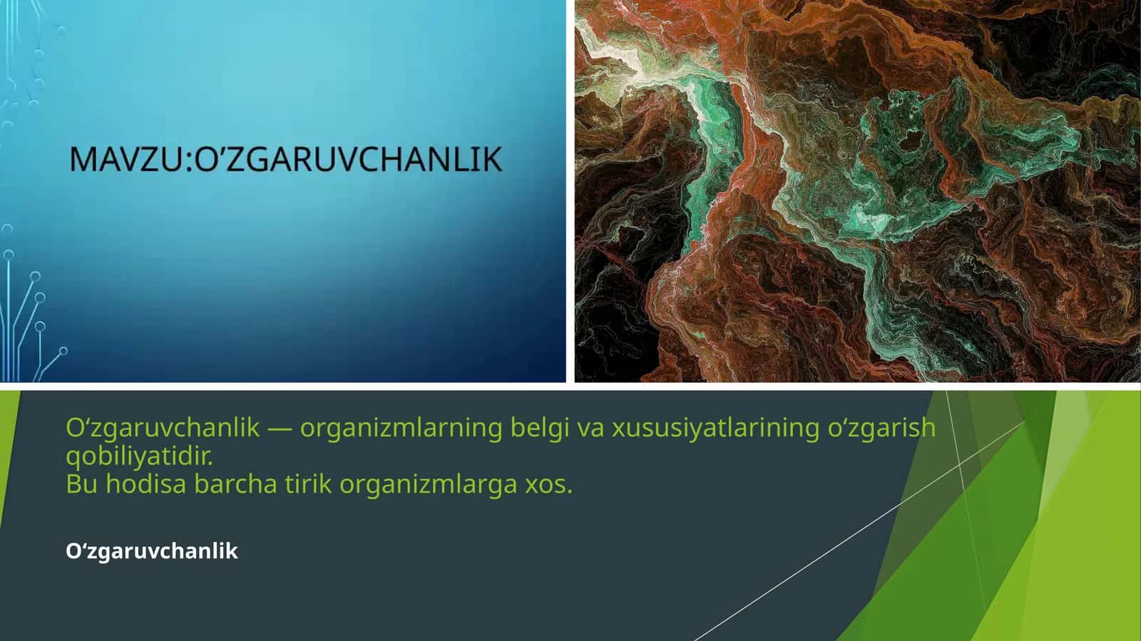 O‘zgaruvchanlik
