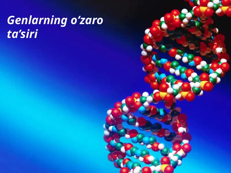 Genlarning o‘zaro ta’siri