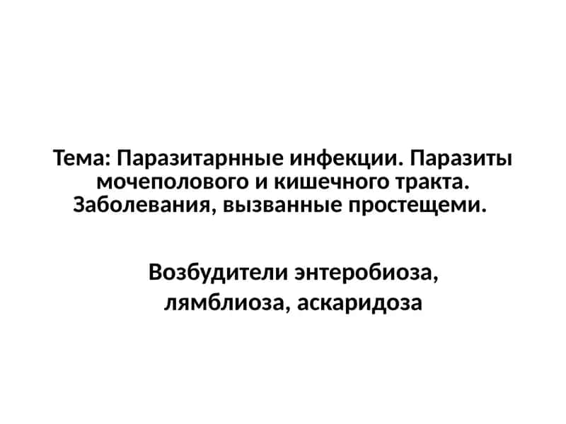 Острица кишечная (Enterobius vermicularis)