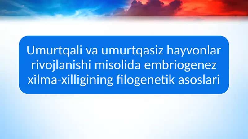 Umurtqali va umurtqasiz hayvonlar rivojlanishi misolida embriogenez xilma-xilligining filogenetik asoslari