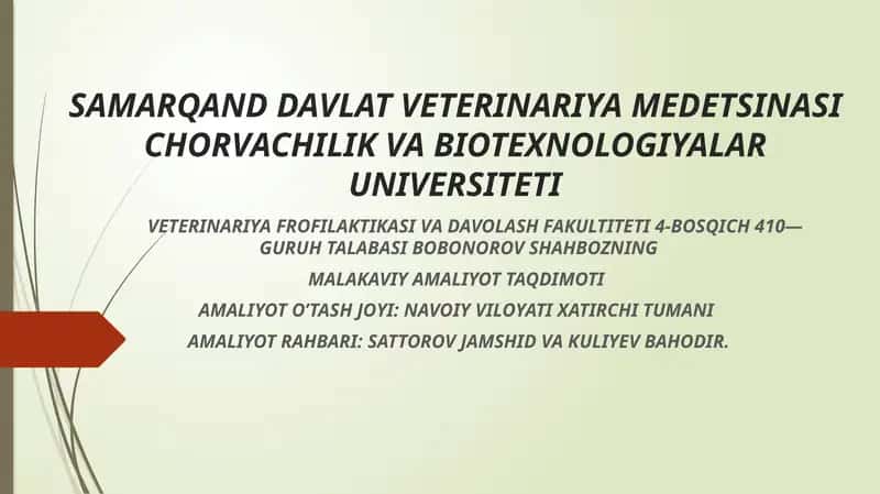 Qo’y va echkilarni Oqsil kasalligiga qarshi vaksina qilish