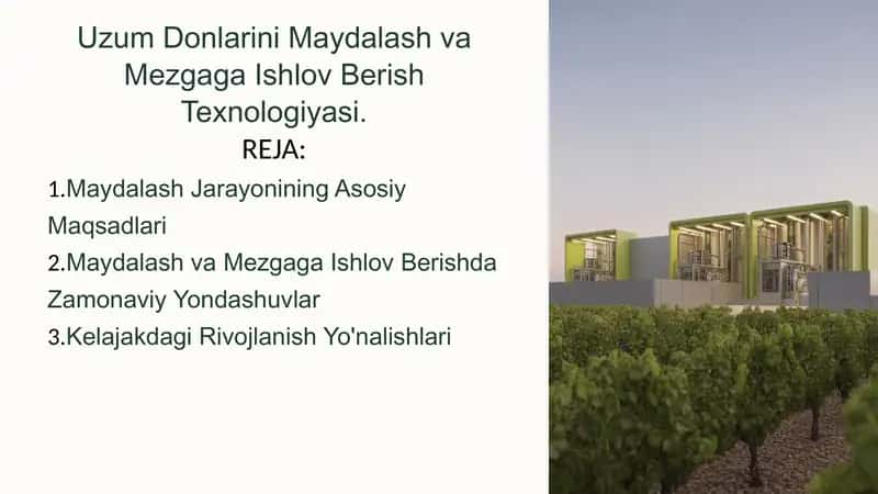 Uzum Donlarini Maydalash va Mezgaga Ishlov Berish Texnologiyasi