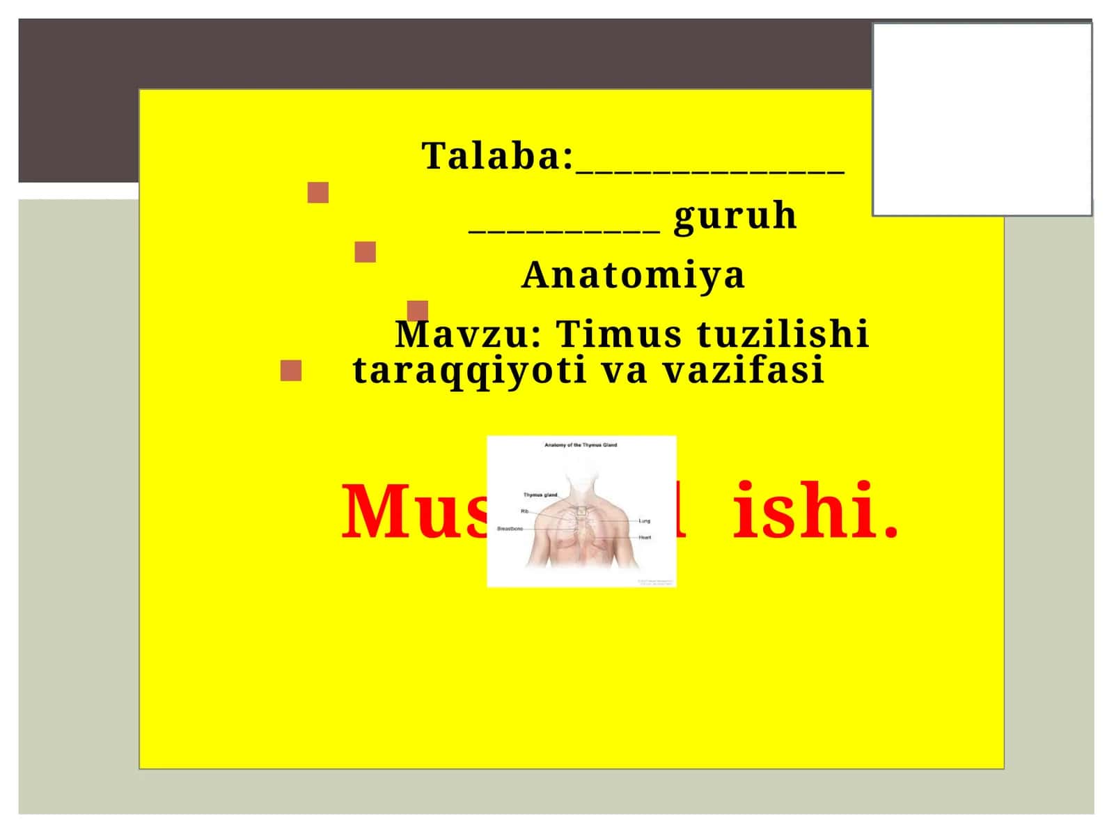Talaba: Anatomiya