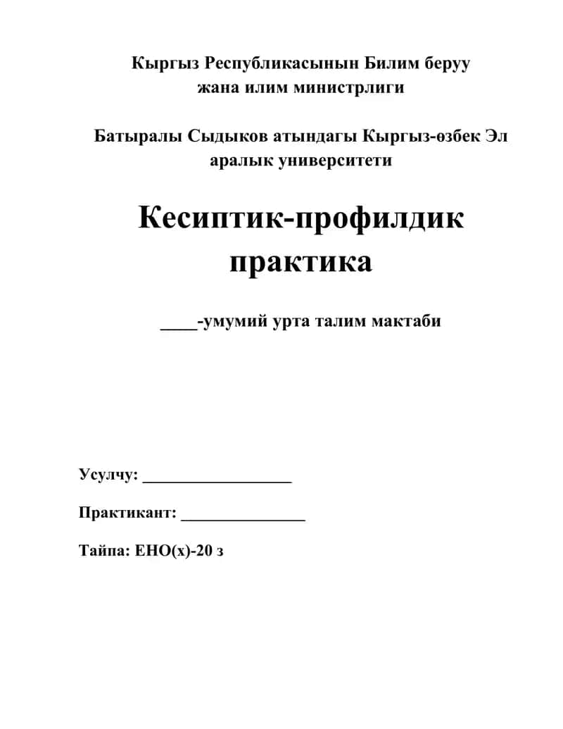 Кесиптик-профилдик практика