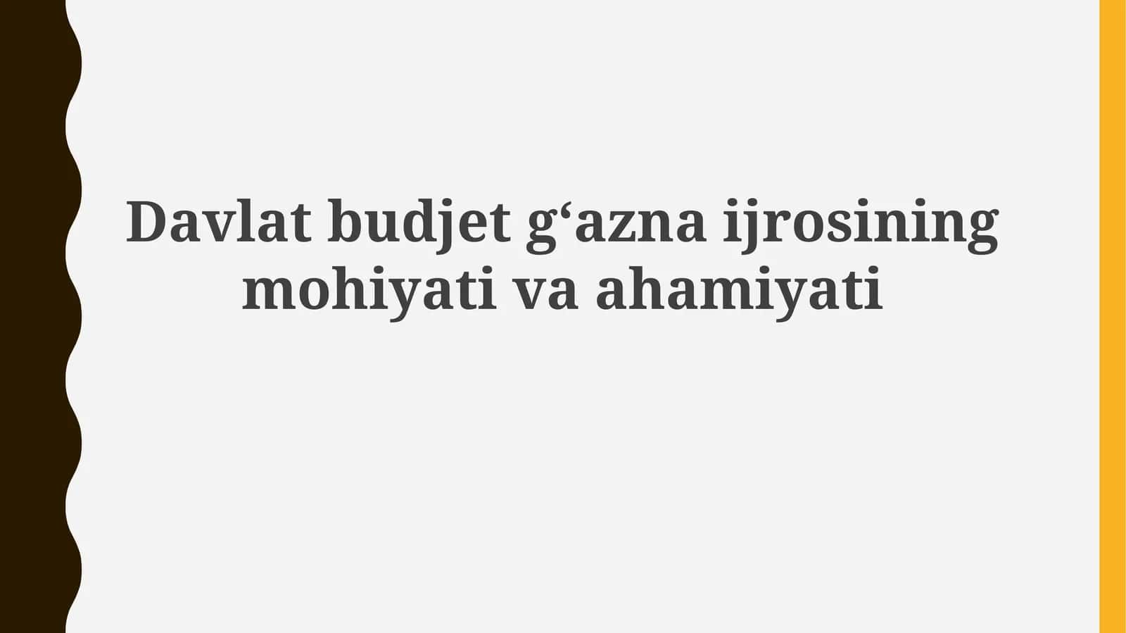 Davlat byudjeti xazina ijrosining mohiyati va ahamiyati