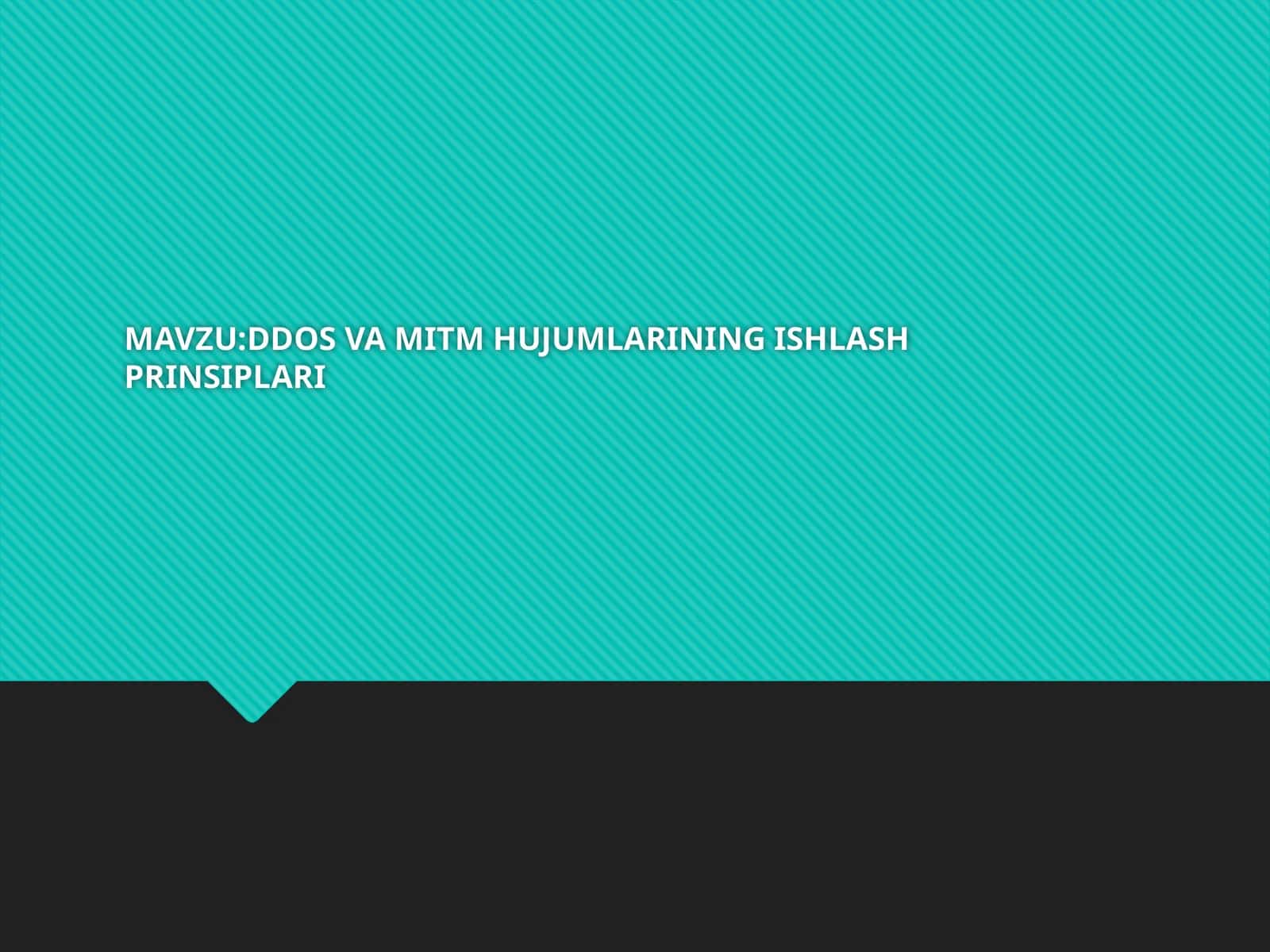 DDOS VA MITM HUJUMLARINING ISHLASH PRINSIPLARI