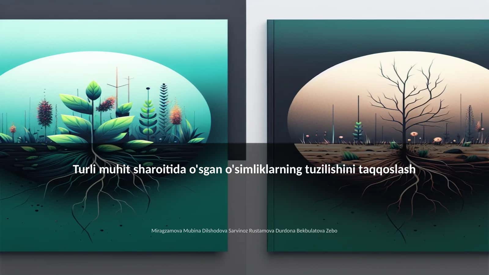 Turli muhit sharoitida o'sgan o'simliklarning tuzilishini taqqoslash