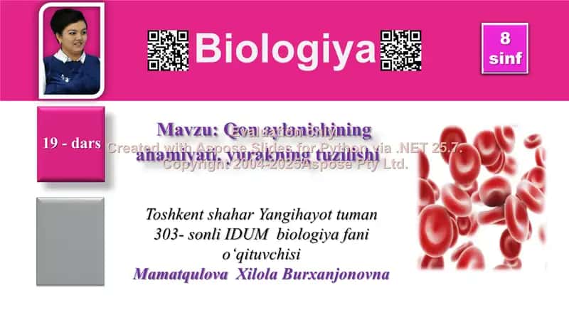 Qon aylanishining ahamiyati, yurakning tuzilishi
