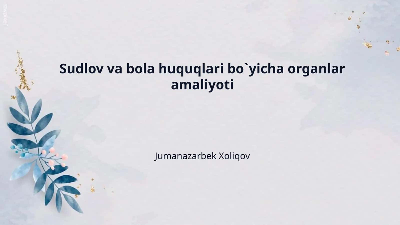 Sudlov va bola huquqlari bo`yicha organlar amaliyoti