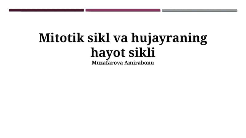 Mitotik sikl va hujayraning hayot sikli
