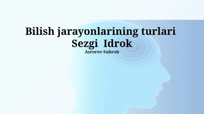 Sezgi va Idrok: Ta'riflar va Turlari