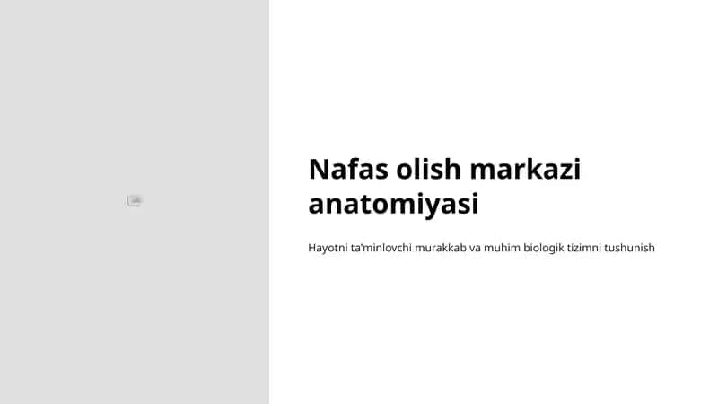 Nafas olish markazi anatomiyasi