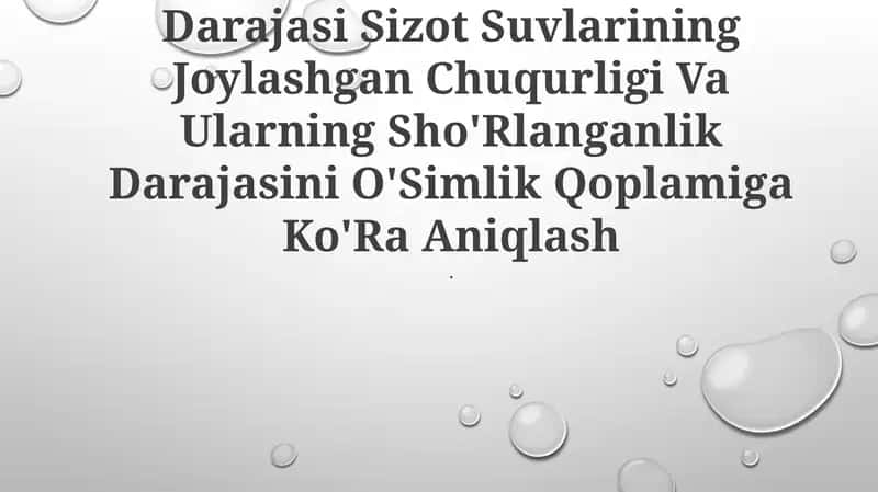 Tuproqlarning Sho'Rlanganlik Darajasi Sizot Suvlarining Joylashgan Chuqurligi Va Ularning Sho'Rlanganlik Darajasini O'Simlik Qoplamiga Ko'Ra Aniqlash