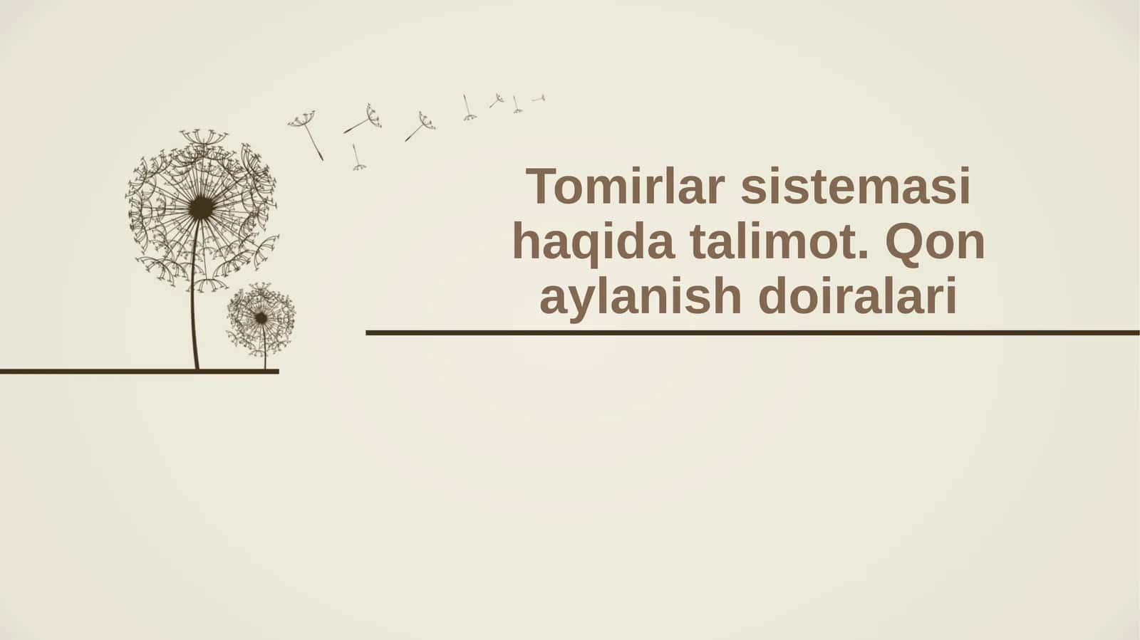 Qon tomirlar sistemasini tushunish