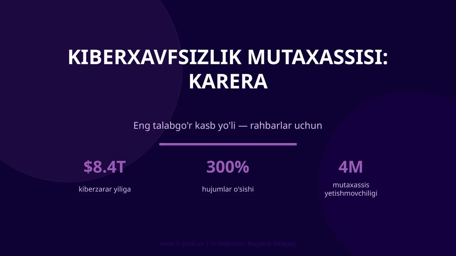 Kiberxavfsizlik Mutaxassisi: Karera