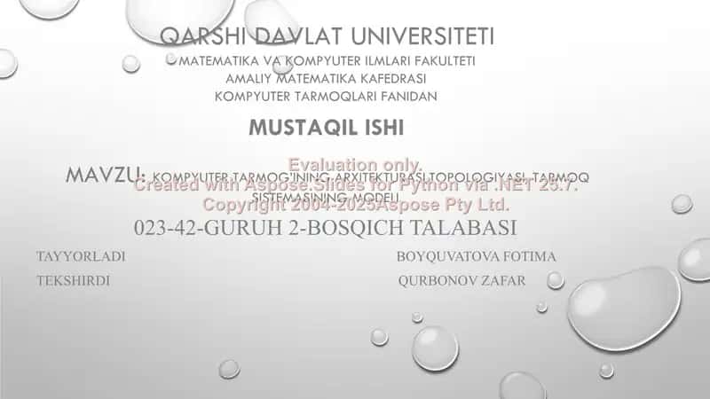 Kompyuter tarmog’ining arxitekturasi, topologiyasi, tarmoq sistemasining modeli