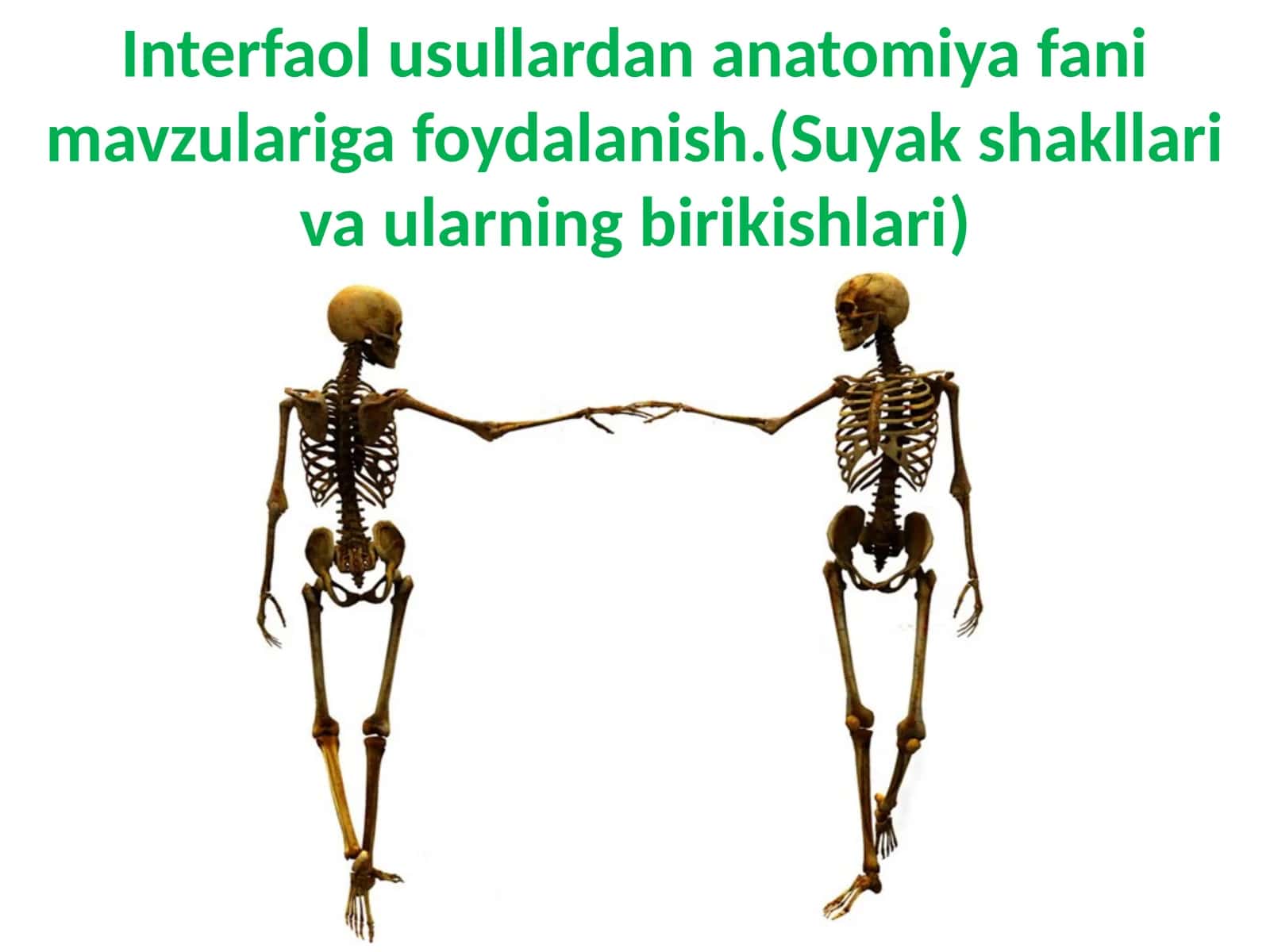 Interfaolusullardan anatomiya fani mavzulariga foydalanish.(Suyakshakllarivaularningbirikishlari)