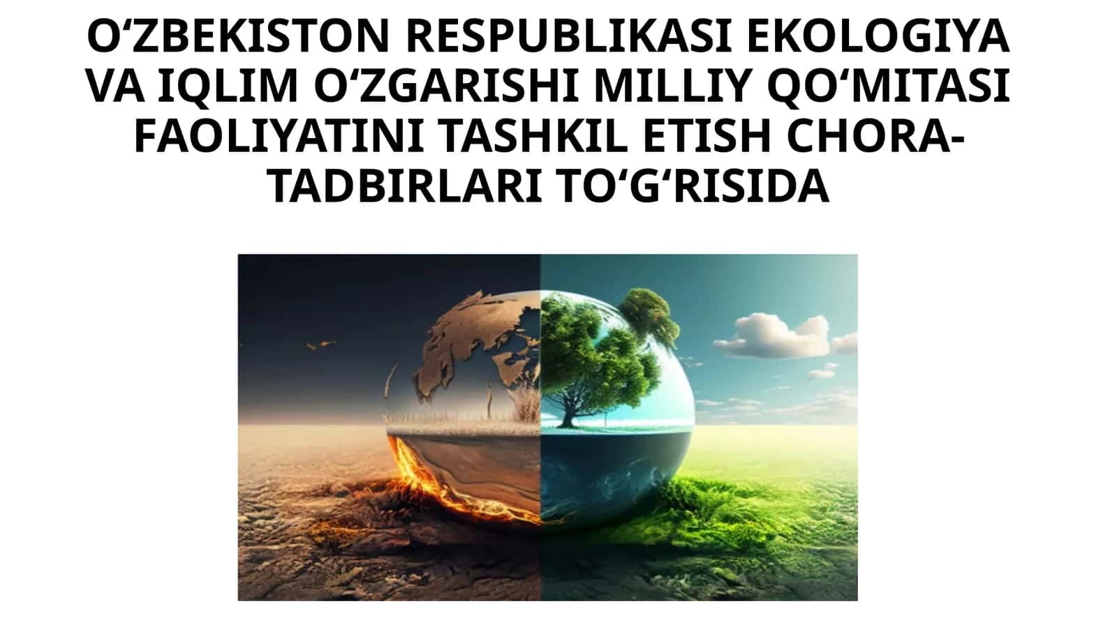 Oʻzbekiston Respublikasi Ekologiya va iqlimoʻzgarishi milliy qoʻmitasi tadbirlari toʻgʻrisida