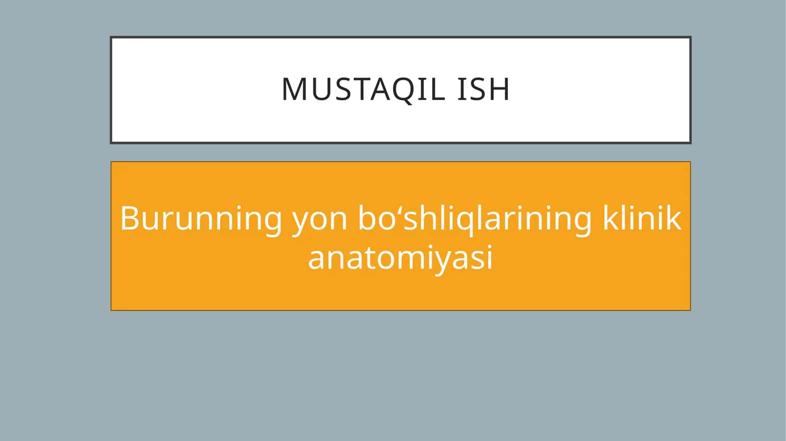 Burun yon bo'shliqlari