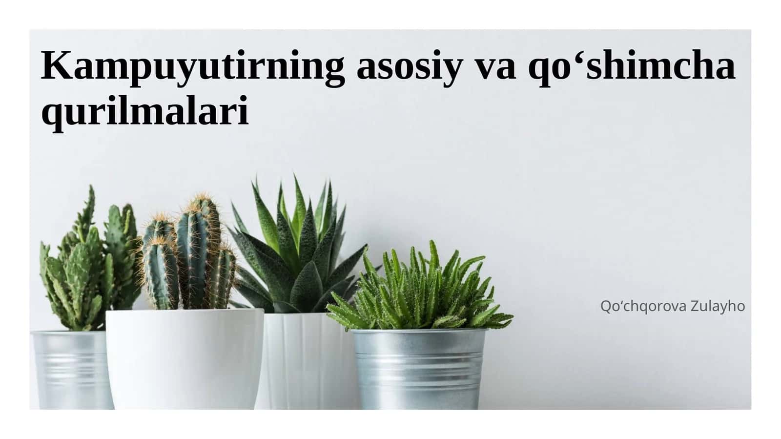 Kampuyutirning asosiy va qoʻshimcha qurilmalari
