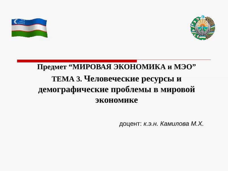 МИРОВАЯ ЭКОНОМИКА и МЭО