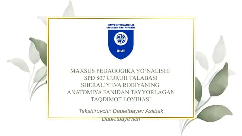 Mavzu: nerv sistemasi. Taqdimot