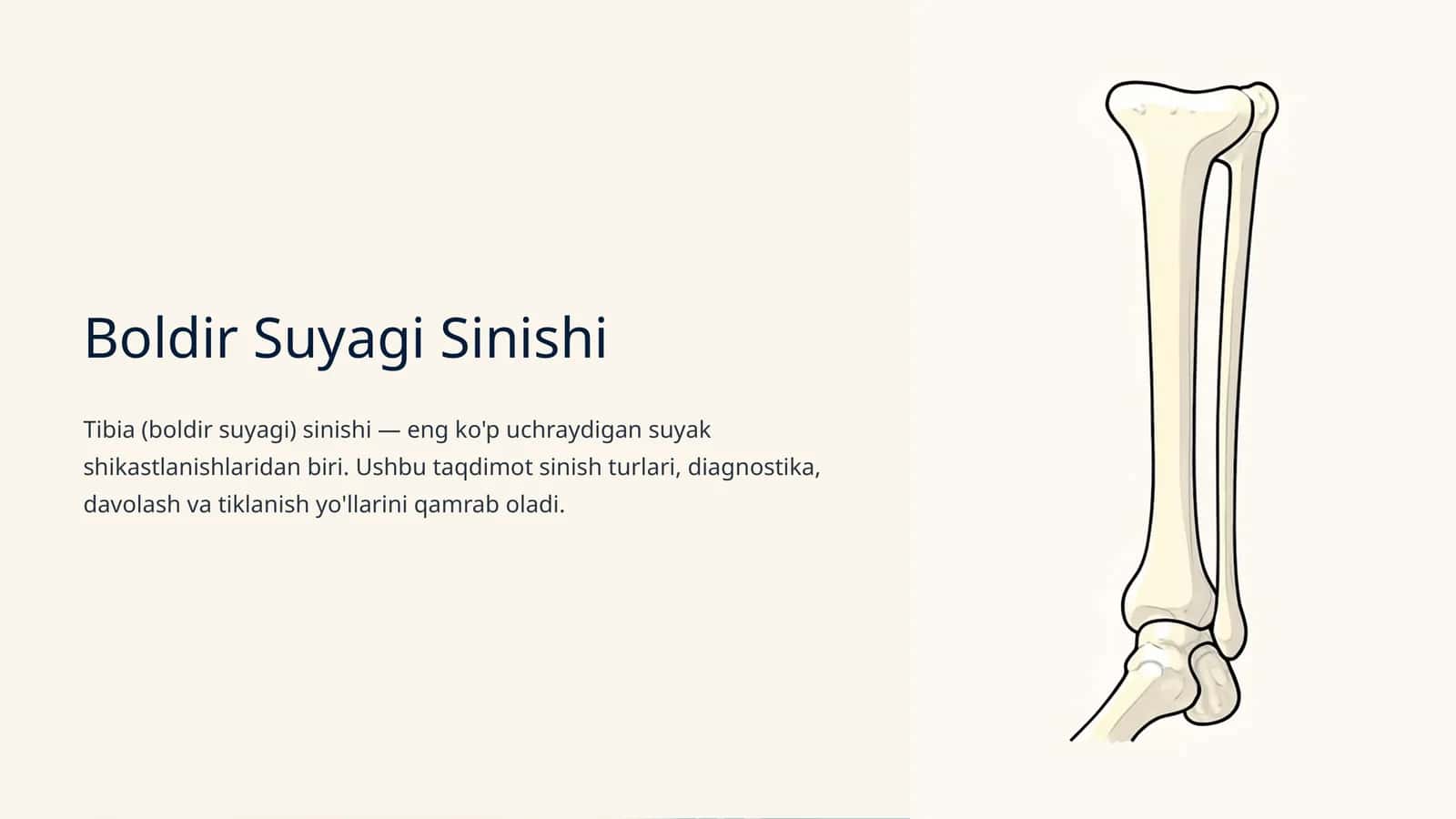 Boldir Suyagi Sinishi