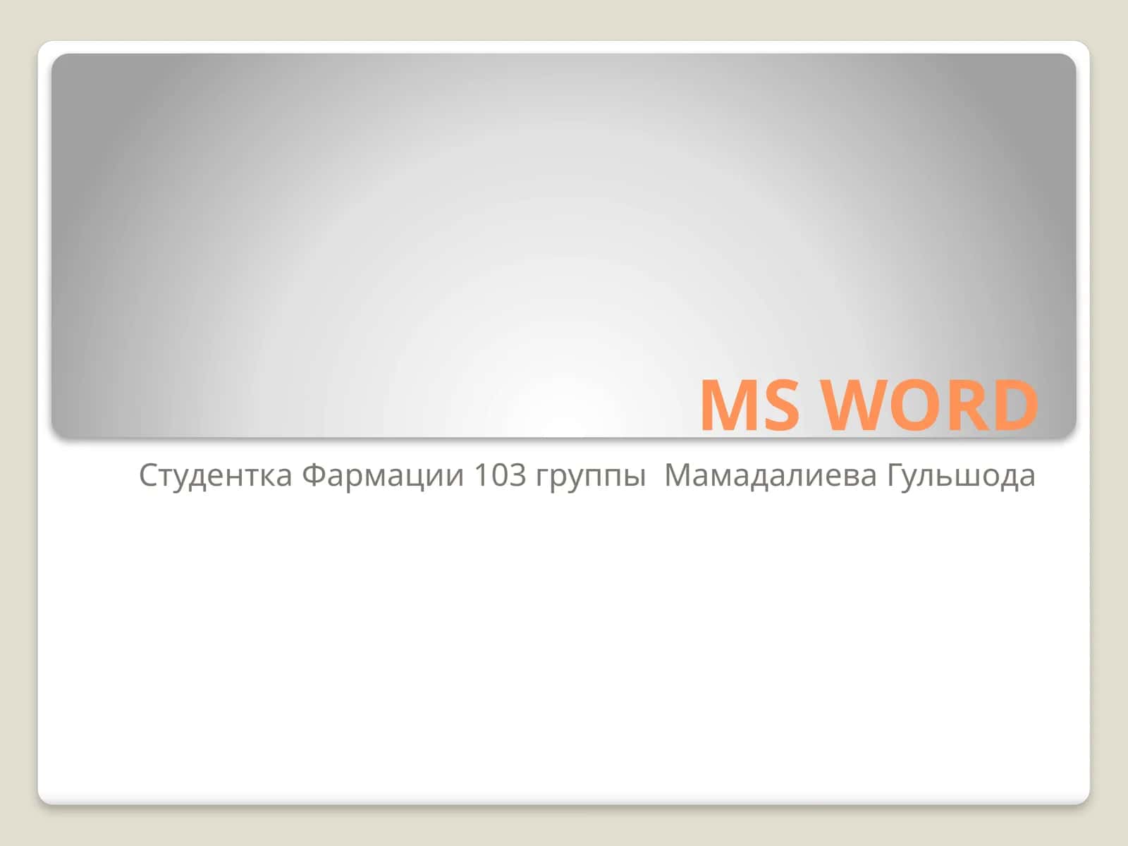 Microsoft Word