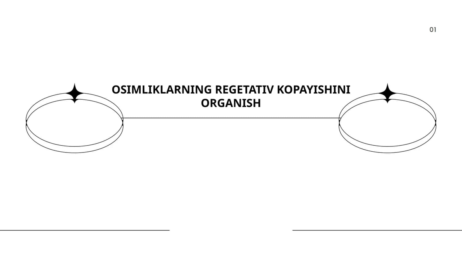 OSIMLIKLARNING REGETATIV KOPAYISHINI ORGANISH by MUHAMMADAMINOVA SAMIRA