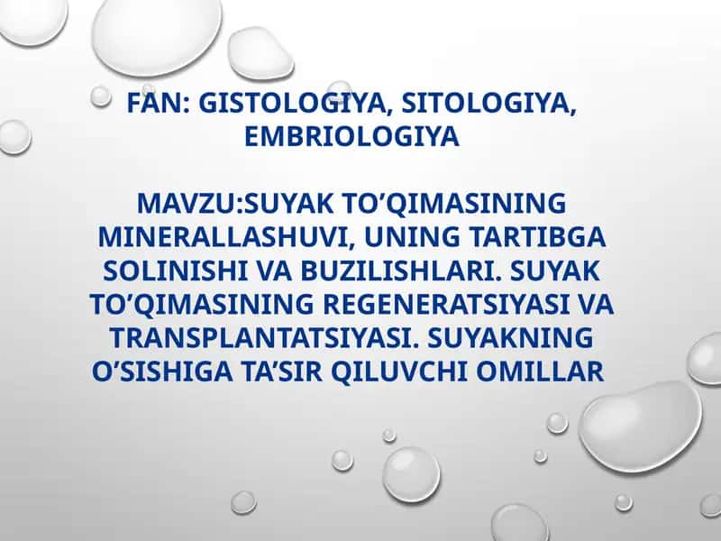 Suyak to'qimasining tuzilishi va vazifalari